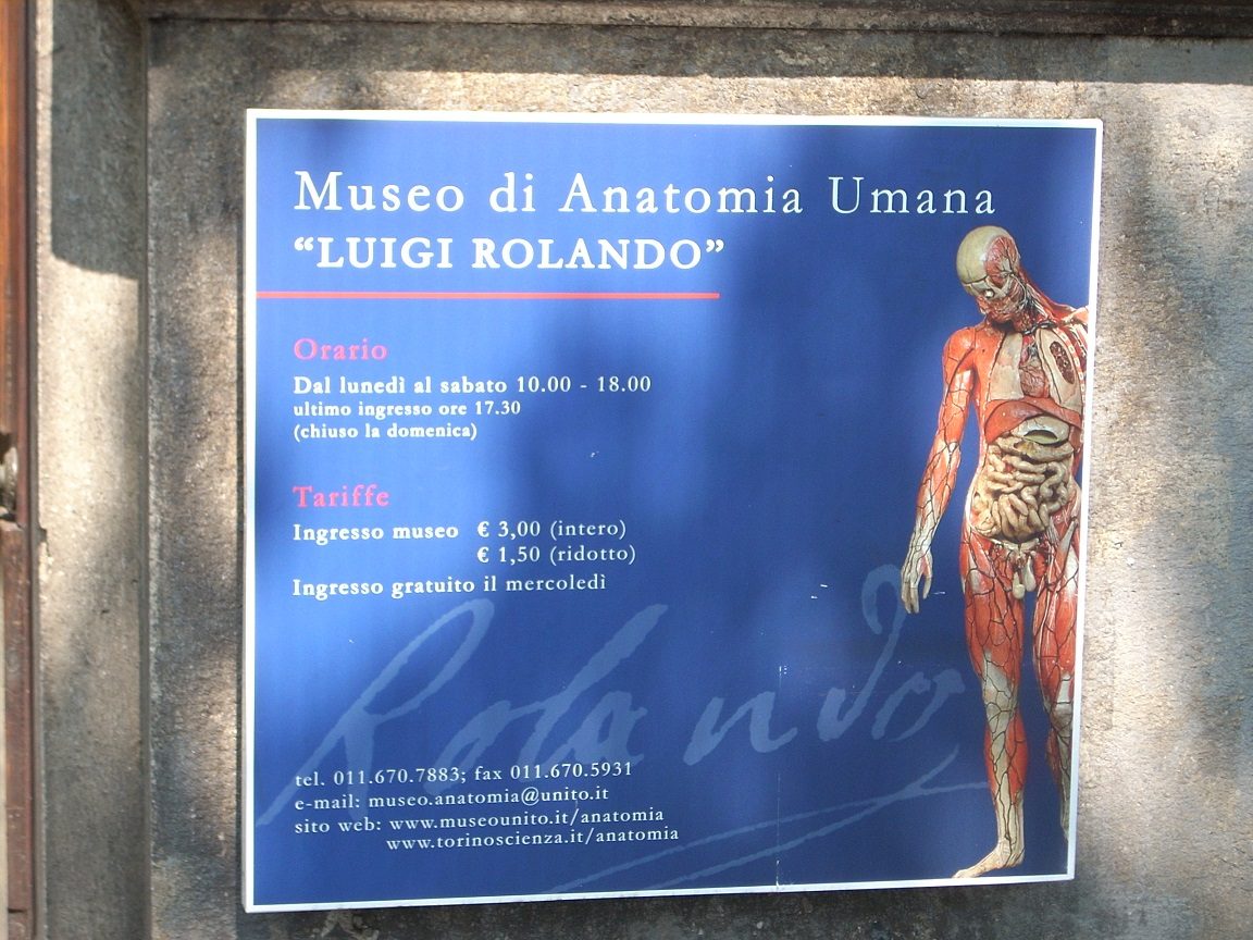 Human%20Anatomy%20Museum%20Luigi%20Rolando%2C%20Turin%2C%20Itlay.JPG
